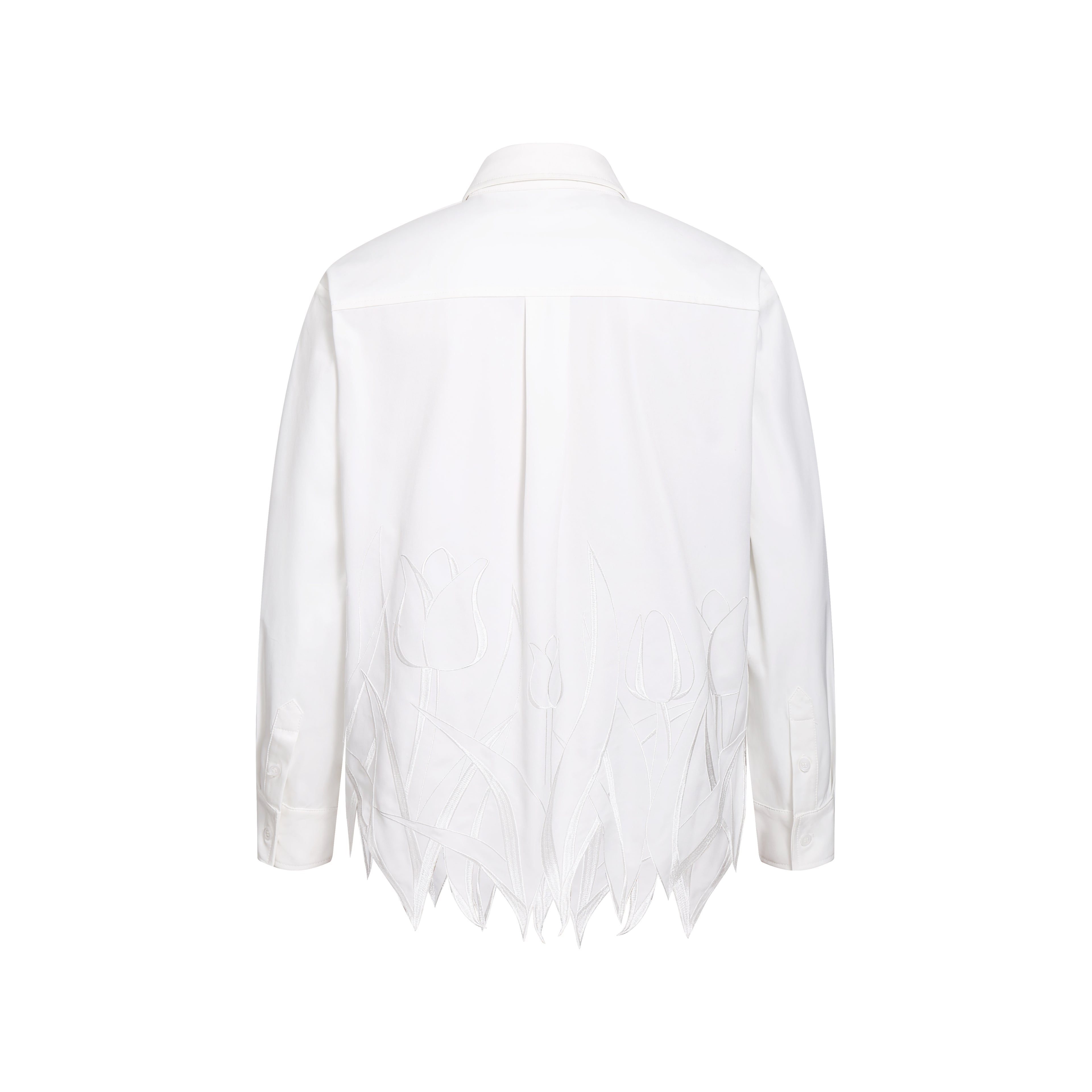 Embroidery Irregular Long Sleeve